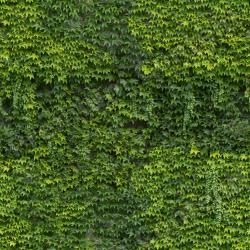 Seamless Hedge